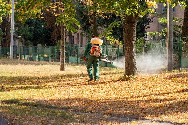 Best Pest Control for Businesses  in Tyler, MN