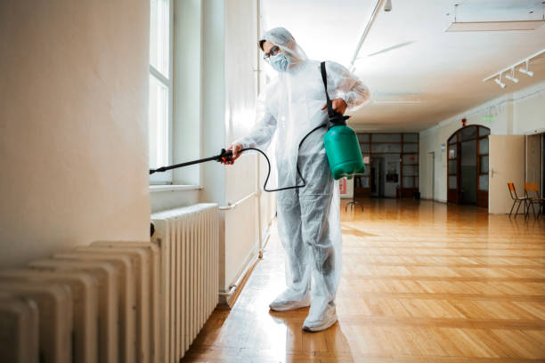 Best Flea Control Services  in Tyler, MN