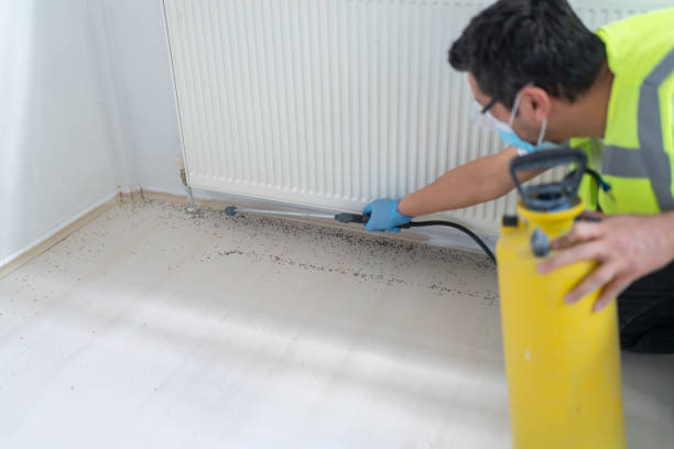 Best Best Pest Control Companies  in Tyler, MN